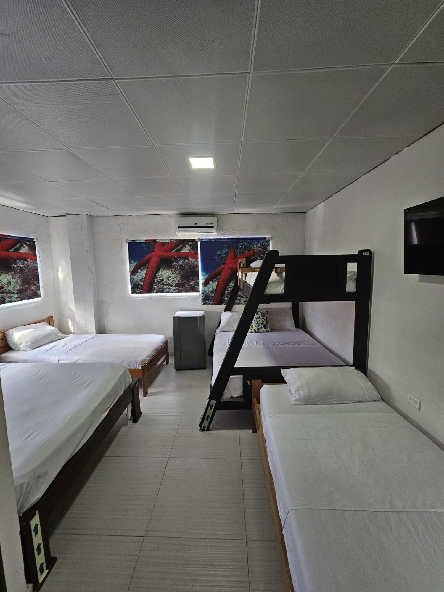 Shangiovys Apartamento